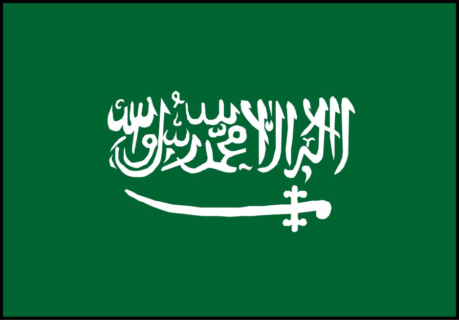 Saudi Arabia Will Sell Oil at Low Prices