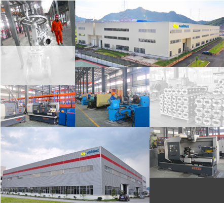 Zhejiang Valmax Valve Co., Ltd.