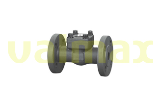 Bolted Bonnet Swing Check Valves, RF Flanged, 150 LB