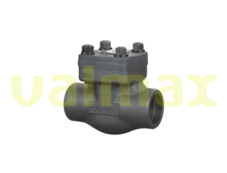 Socket Welded Swing Check Valves, Bolted Cap, 300 LB